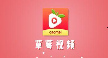 草莓视频APP下载